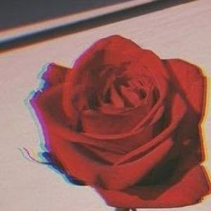 Meet your Posher, Isabella